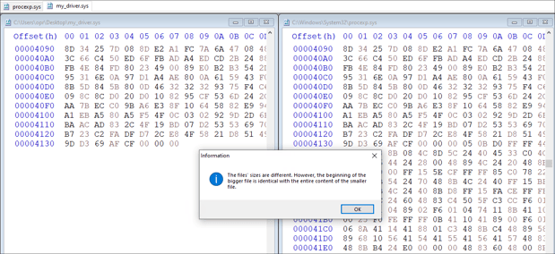 09 Hex View of Our Own Driver Copied into Target Driver